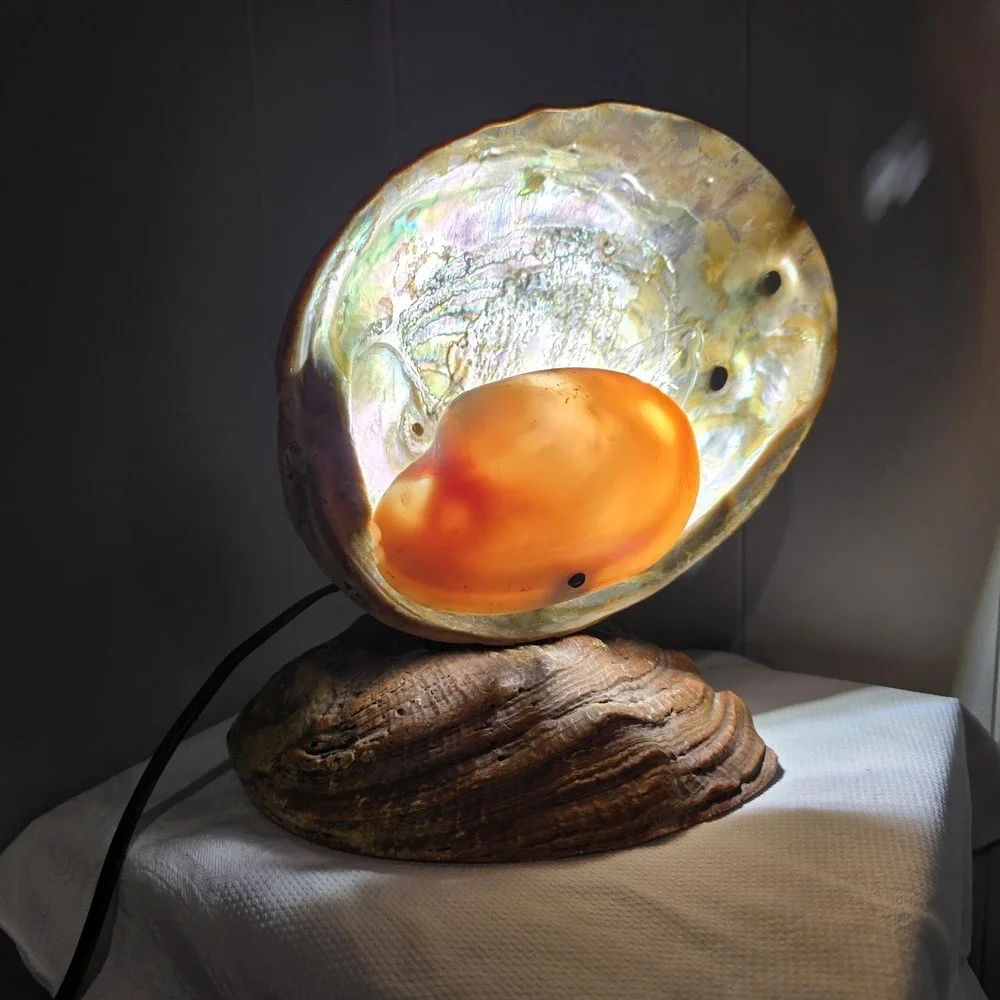 Vintage 60s Abalone Shell Lamp Mother of Pearl Coastal Beach Decor Night Light